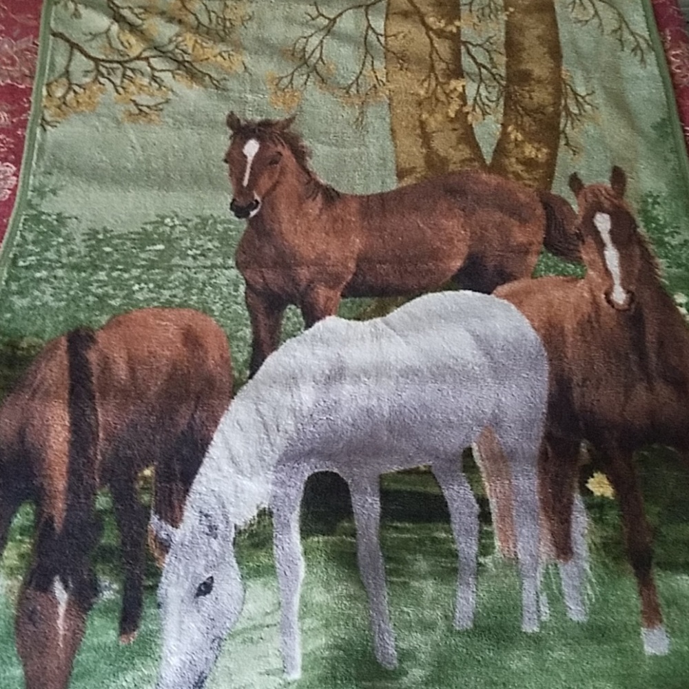 Large horse blanket from Canada
